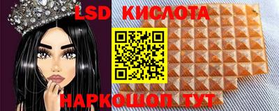 прущие грибы Заволжье