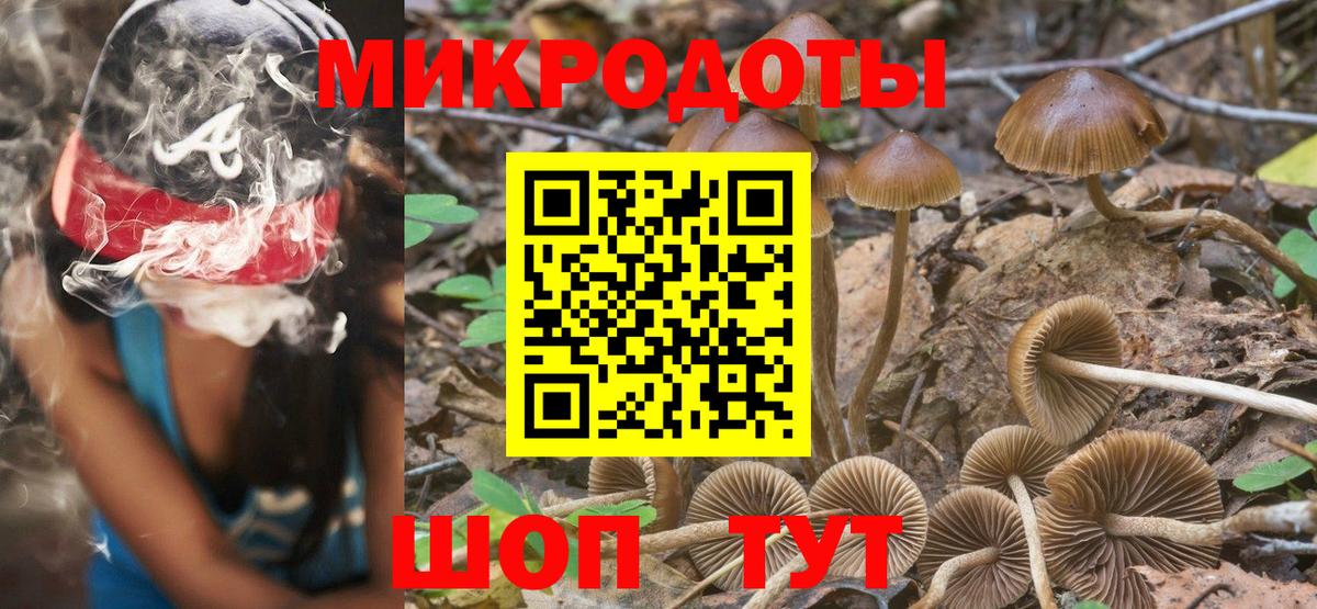 Людиново  Галлюциногенные грибы Magic Shrooms  Псилоцибиновые грибы Magic Shrooms  Вход с VPN 